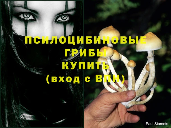 стафф Белокуриха