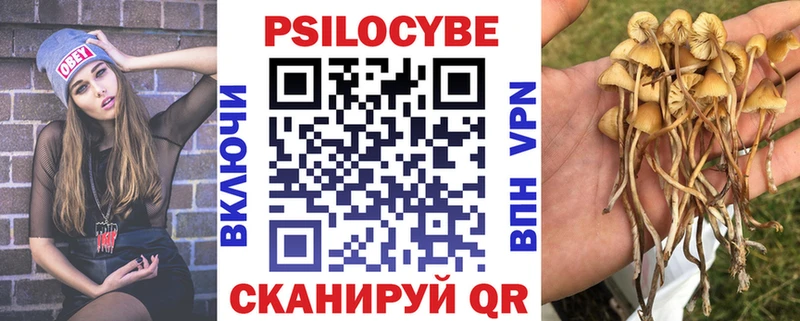 Галлюциногенные грибы мухоморы  купить наркотик  Великий Устюг 